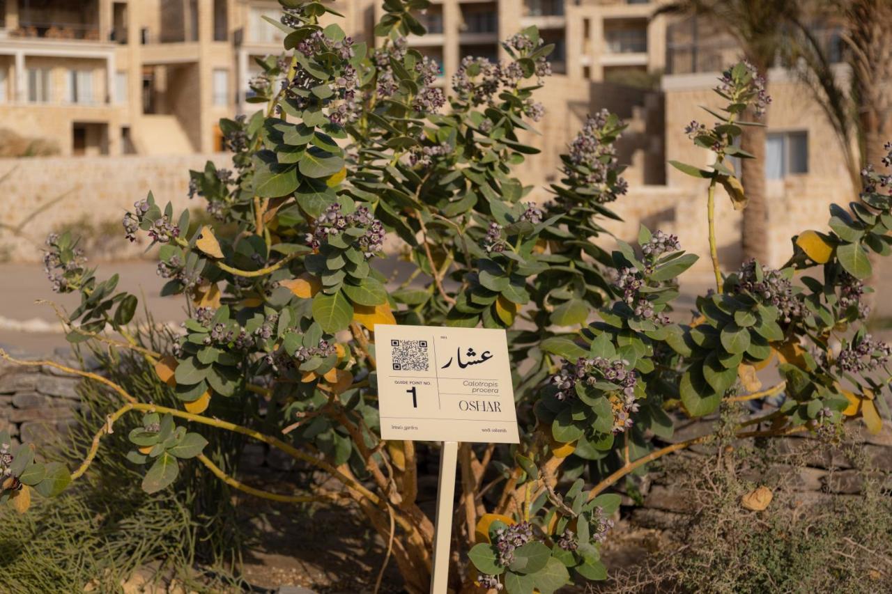 Wadi Sabarah Lodge Marsa Alam Buitenkant foto